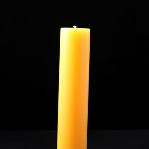 Festival Slimline Honey Pillar Candle 48x210mm